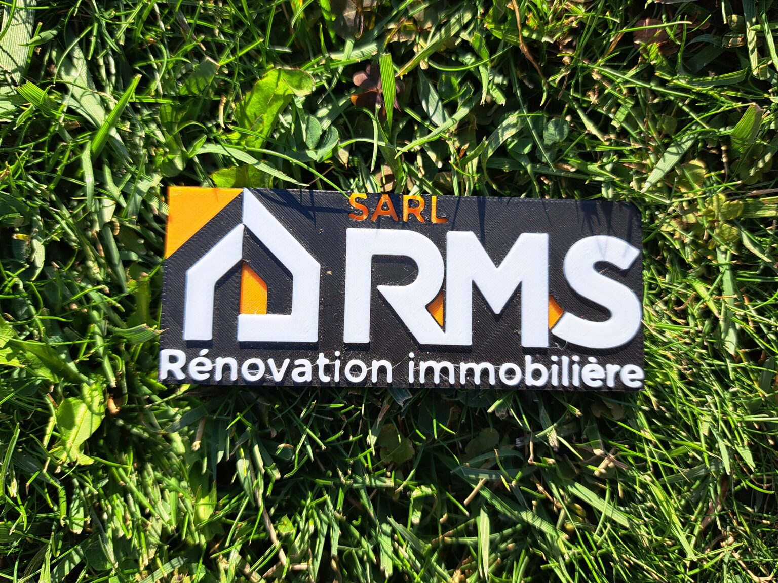 logo RMS en 3D